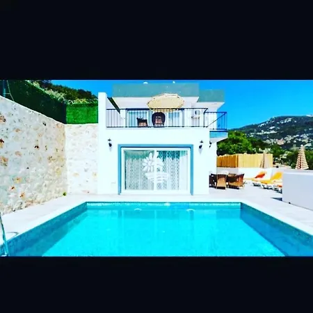 Villa Tuelip Willa